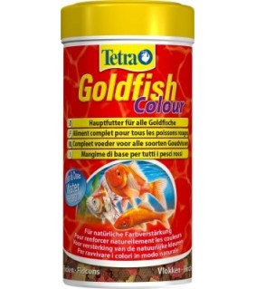 Tetra Goldfish Colour kultakalaruoka