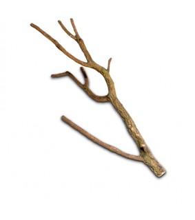 Hobby Cork Branches S 50 cm
