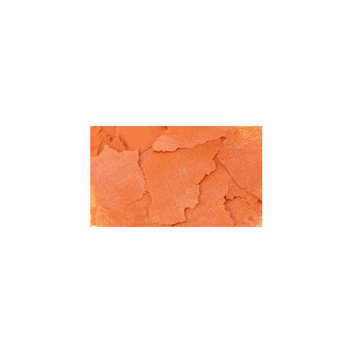 Ocean Nutrition Formula 1 Flake