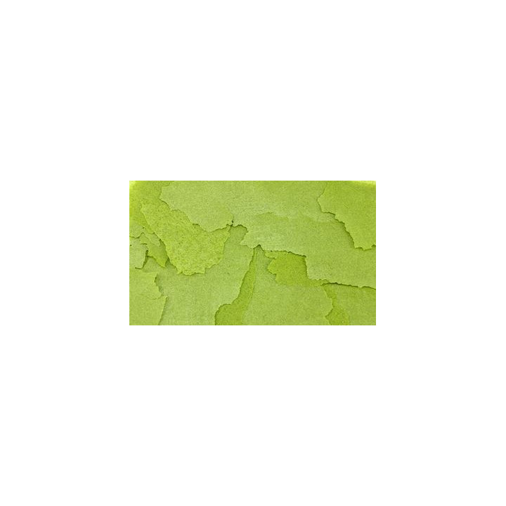 Ocean Nutrition Formula 2 Flake