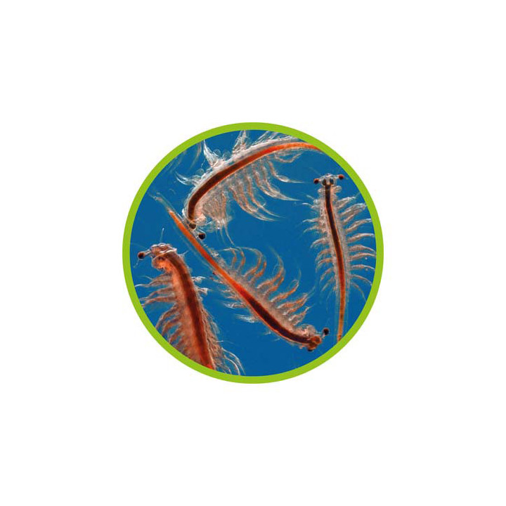 Artemia Hatchery , Terraario- ja akvaariotarvike