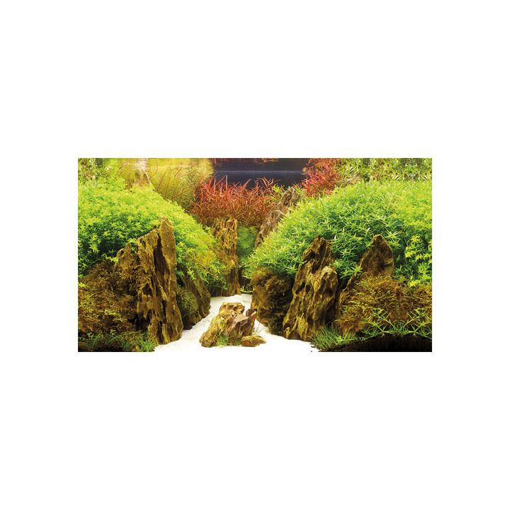 Canyon / Woodland , Terraario- ja akvaariotarvike