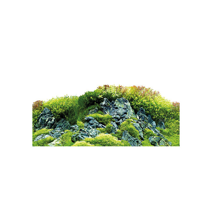 Scaping Hill / Scaping Forest , Terraario- ja akvaariotarvike