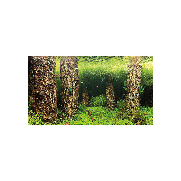 Scaping Hill / Scaping Forest , Terraario- ja akvaariotarvike