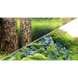 Scaping Hill / Scaping Forest , Terraario- ja akvaariotarvike