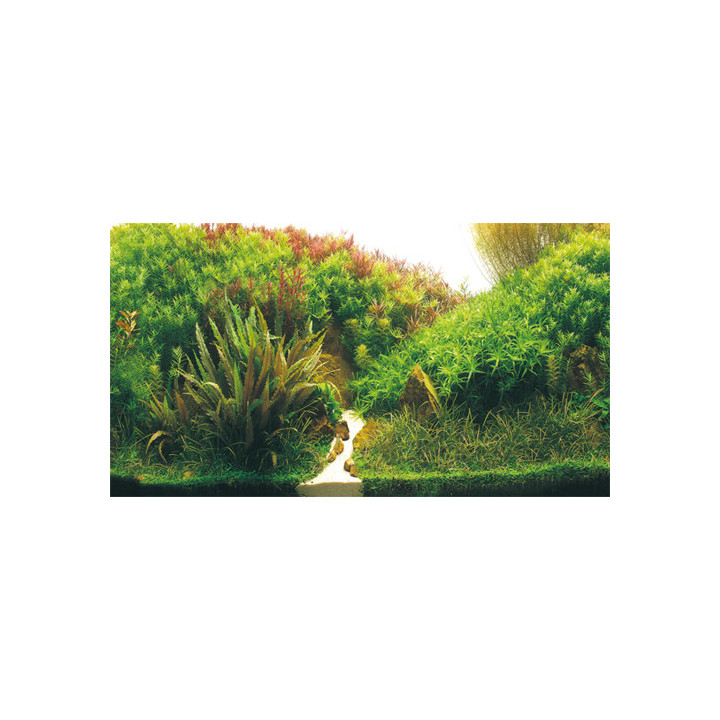 Planted River/Green Rocks , Terraario- ja akvaariotarvike