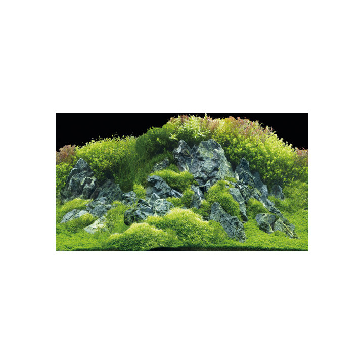 Planted River/Green Rocks , Terraario- ja akvaariotarvike