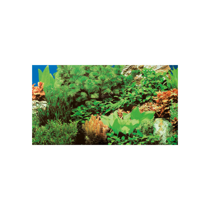 Plants 8/Marin Blue , Terraario- ja akvaariotarvike