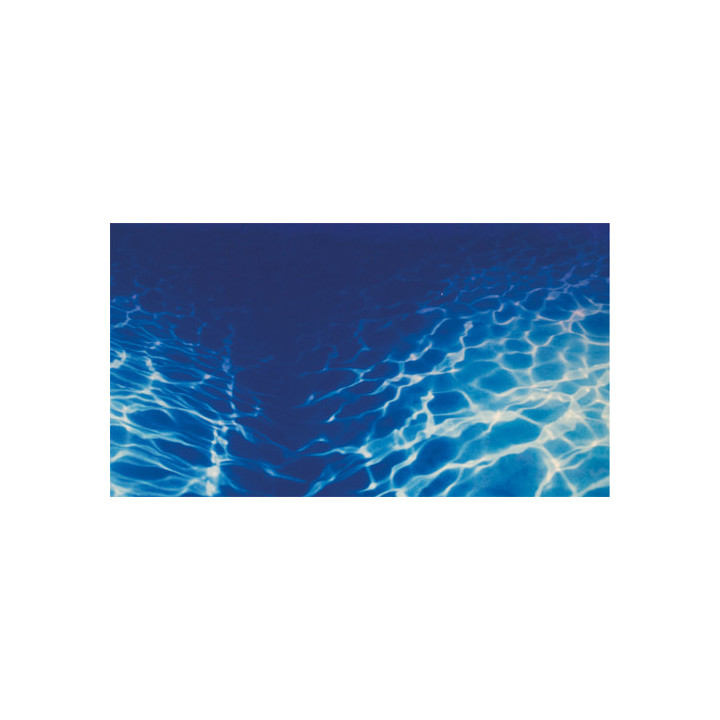 Plants 8/Marin Blue , Terraario- ja akvaariotarvike