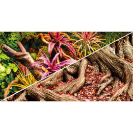 Colorful Jungle / Strangler Fig , Terraario- ja akvaariotarvike