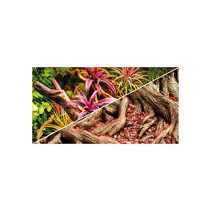Colorful Jungle / Strangler Fig , Terraario- ja akvaariotarvike