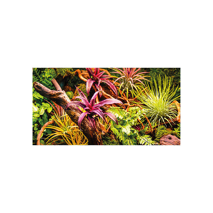 Colorful Jungle / Strangler Fig , Terraario- ja akvaariotarvike