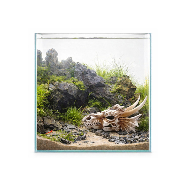 Dragon Skull M , Terraario- ja akvaariotarvike