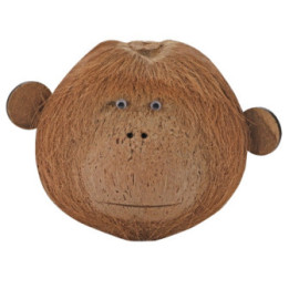 Coco Monkey 2 , Terraario- ja akvaariotarvike