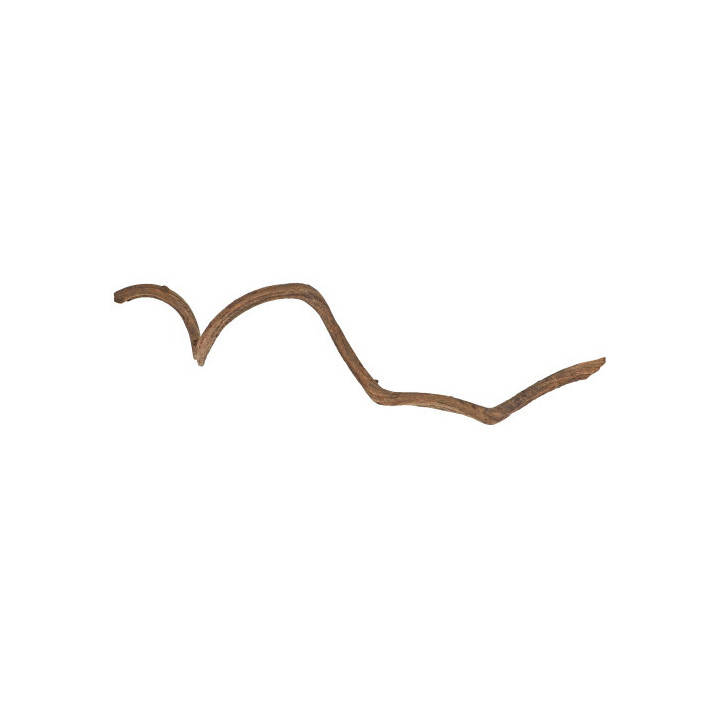 Ribbon Liana , Terraario- ja akvaariotarvike