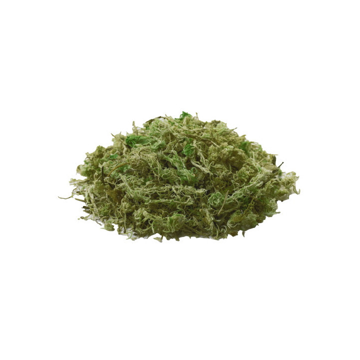 Natural Moss , Terraario- ja akvaariotarvike