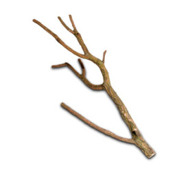 Cork Branches S , Terraario- ja akvaariotarvike