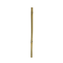 Bamboo Stix , Terraario- ja akvaariotarvike