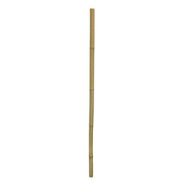 Bamboo Stix , Terraario- ja akvaariotarvike