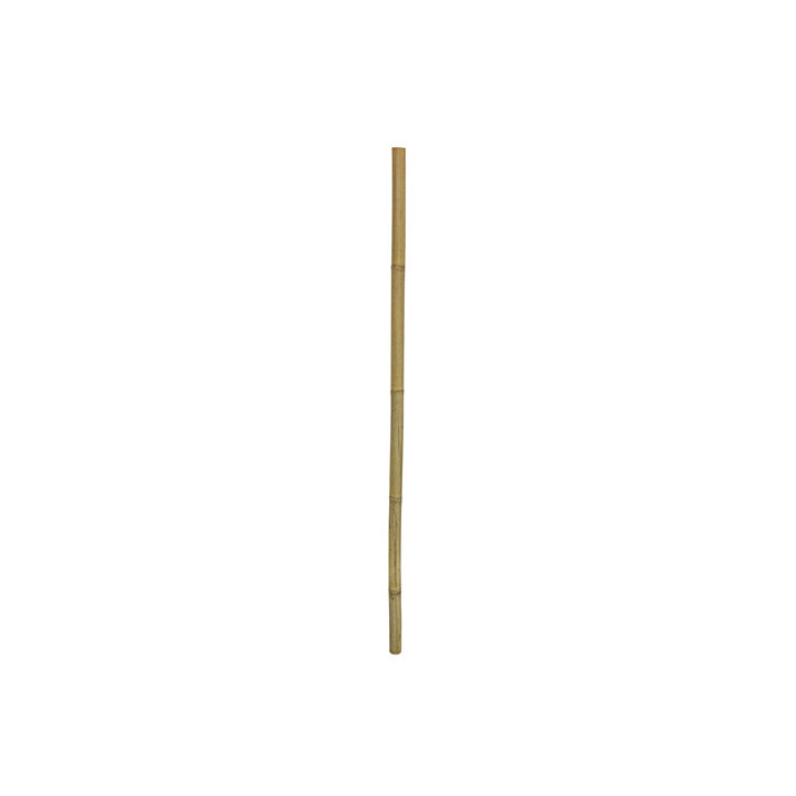 Bamboo Stix , Terraario- ja akvaariotarvike