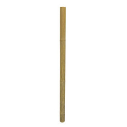 Bamboo Stix , Terraario- ja akvaariotarvike