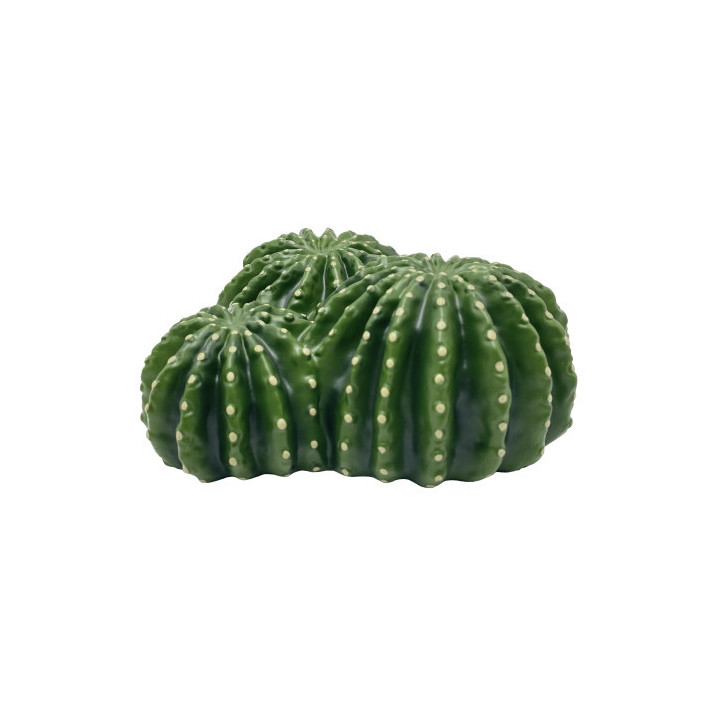 Cactus Home 5 , Terraario- ja akvaariotarvike