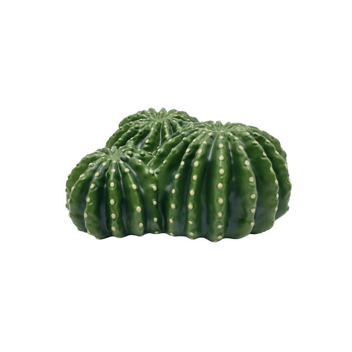 Cactus Home 6 , Terraario- ja akvaariotarvike