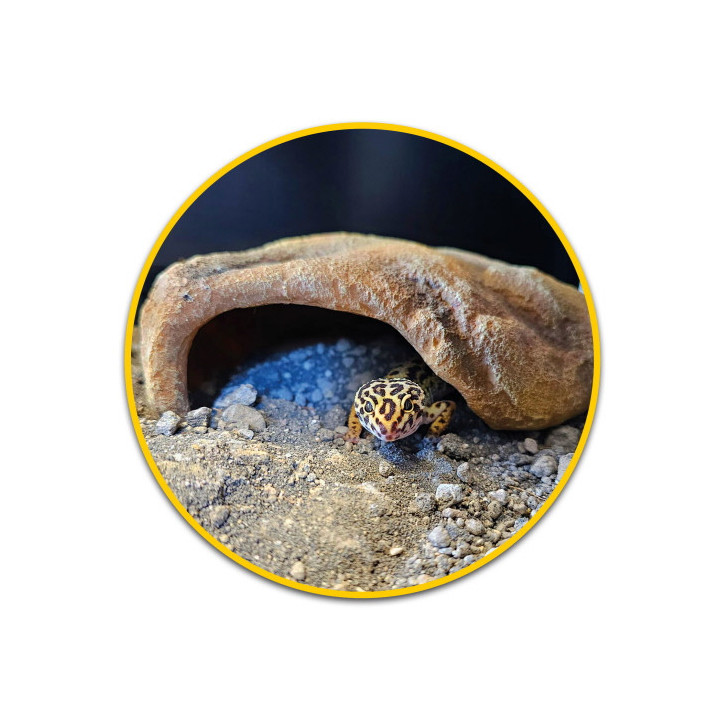 Mojave Cave M , Terraario- ja akvaariotarvike