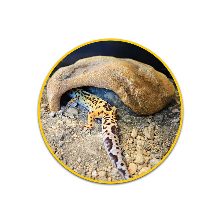 Mojave Cave M , Terraario- ja akvaariotarvike