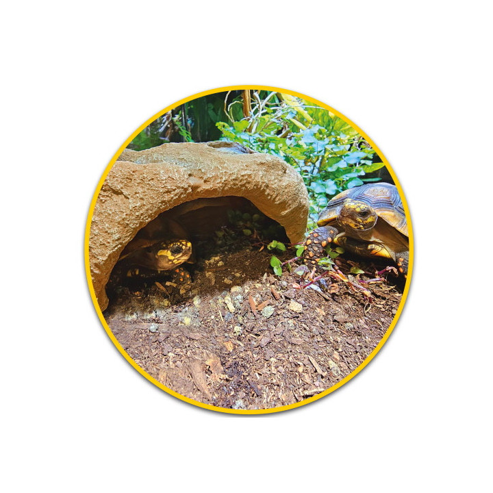 Mojave Cave XL , Terraario- ja akvaariotarvike