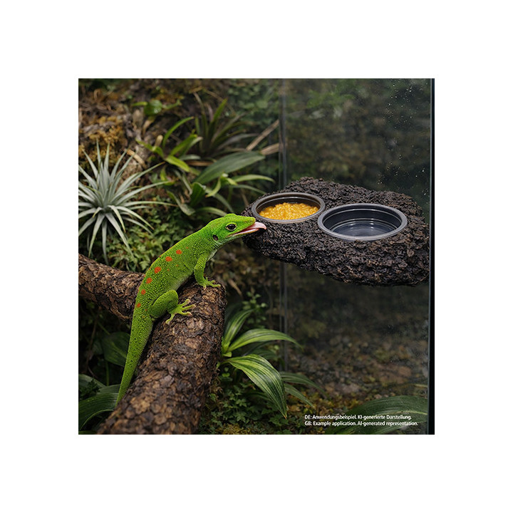 Gecko Station , Terraario- ja akvaariotarvike