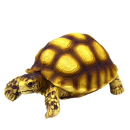 Turtle 2 , Terraario- ja akvaariotarvike