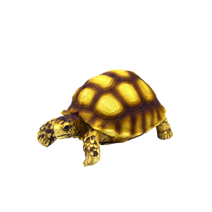 Hobby Turtle 2, 10 x 6 x 5 cm -
