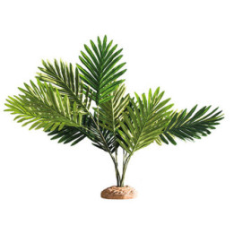 Palm , Terraario- ja akvaariotarvike