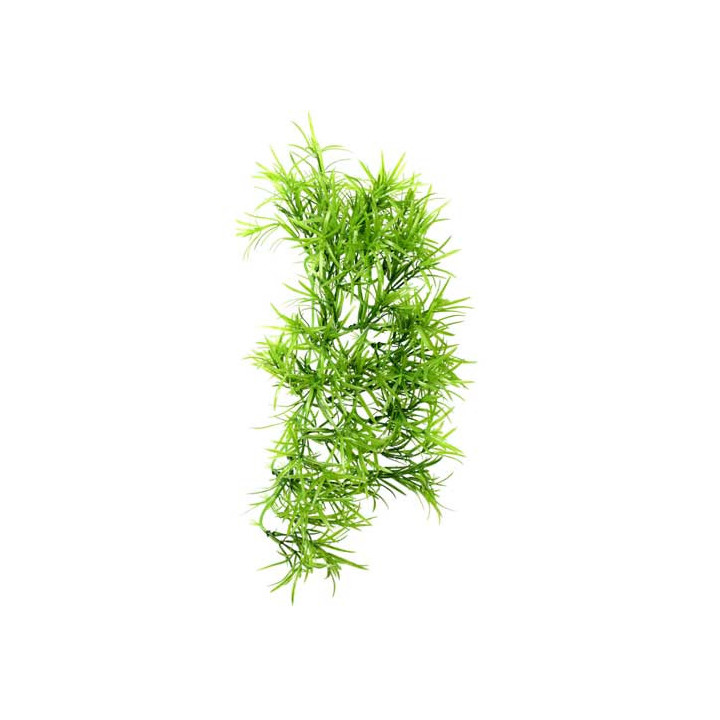 Climber Tropica , Terraario- ja akvaariotarvike