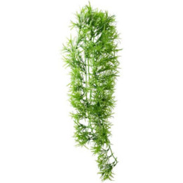 Climber Tropica , Terraario- ja akvaariotarvike