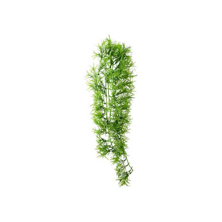 Climber Tropica , Terraario- ja akvaariotarvike