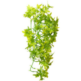 Climber Ivy , Terraario- ja akvaariotarvike
