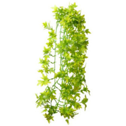 Climber Ivy , Terraario- ja akvaariotarvike