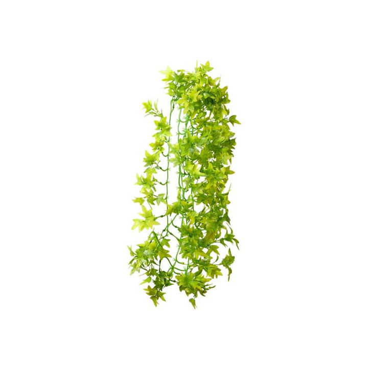 Climber Ivy , Terraario- ja akvaariotarvike