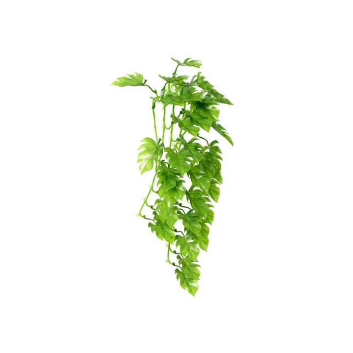 Climber Philo , Terraario- ja akvaariotarvike