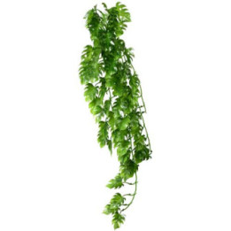 Climber Philo , Terraario- ja akvaariotarvike