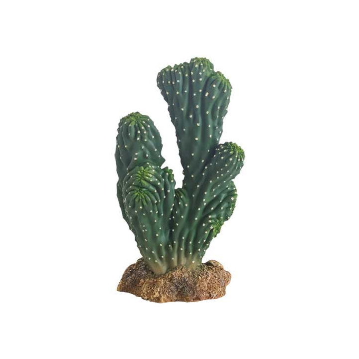 Cactus Victoria , Terraario- ja akvaariotarvike