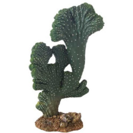 Cactus Victoria , Terraario- ja akvaariotarvike
