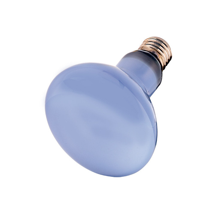Neodymium Daylight Eco , Terraario- ja akvaariotarvike