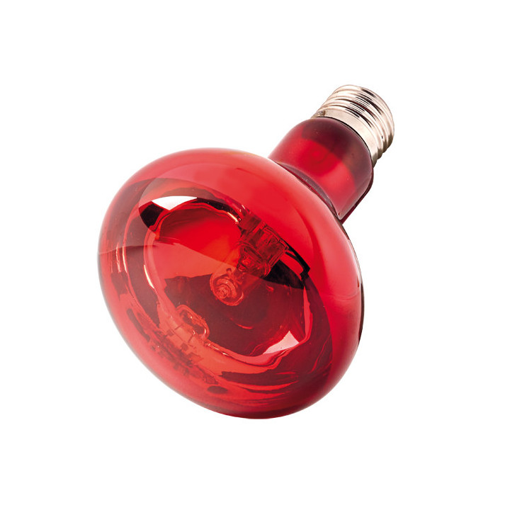 Infraredlight Eco , Terraario- ja akvaariotarvike