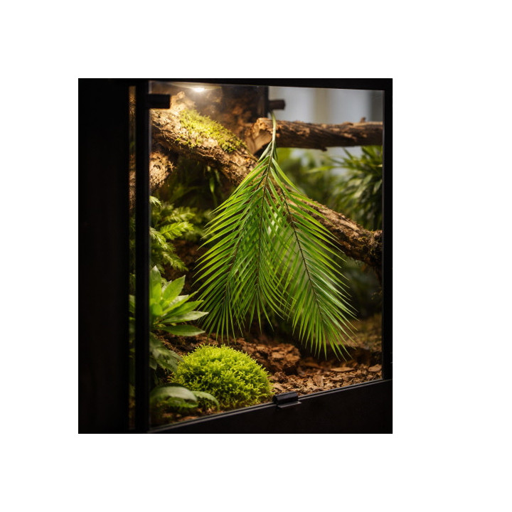 Palm Tree , Terraario- ja akvaariotarvike