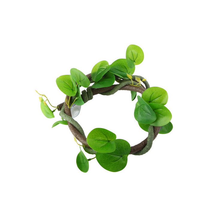 Jungle Vine 1 , Terraario- ja akvaariotarvike