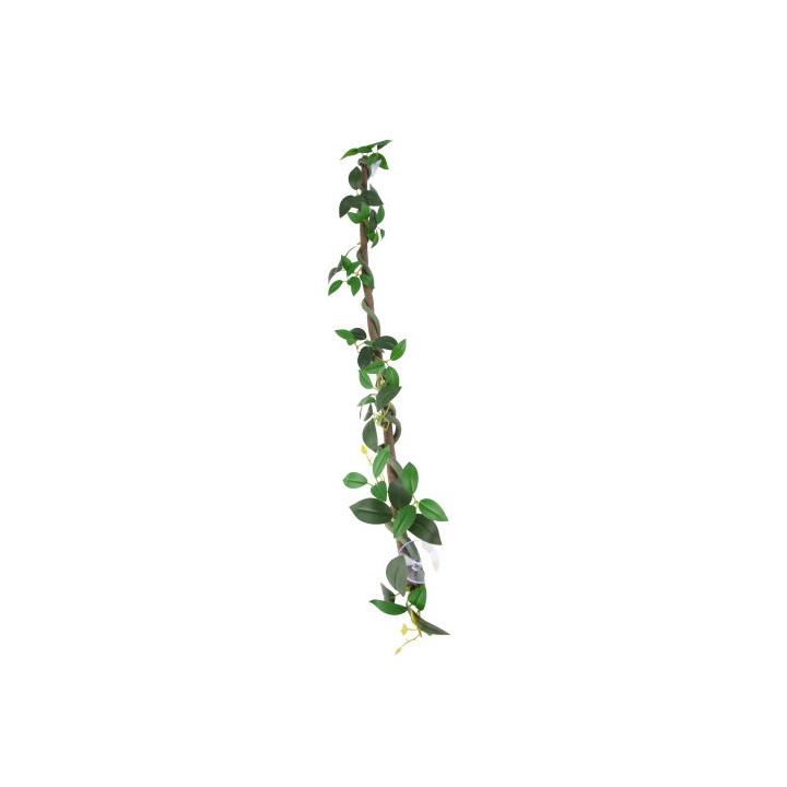 Jungle Vine 2 , Terraario- ja akvaariotarvike