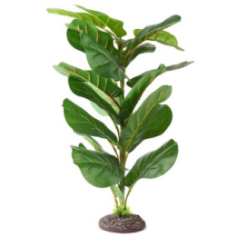 Marantha Tree , Terraario- ja akvaariotarvike